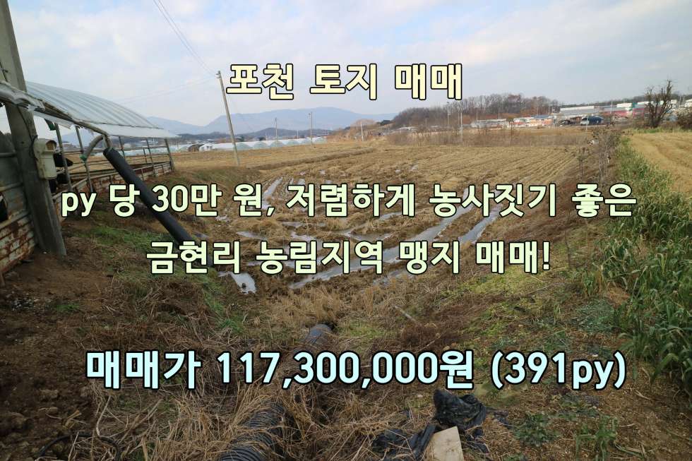 경기 포천시 가산면 금현리 [포천 토지 매매] 가격이 착해서 농사짓기 딱 좋은 금현리 농림지역 맹지 매매! (매매가 117,300,000원) 매매 매물번호 10227 사진 1