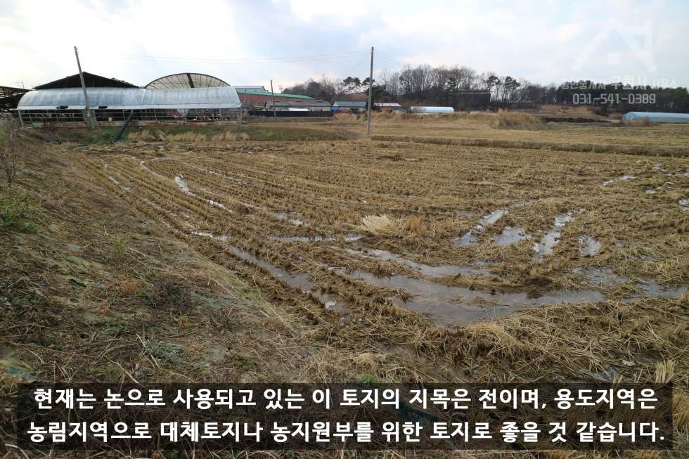 경기 포천시 가산면 금현리 [포천 토지 매매] 가격이 착해서 농사짓기 딱 좋은 금현리 농림지역 맹지 매매! (매매가 117,300,000원) 매매 매물번호 10227 사진 5