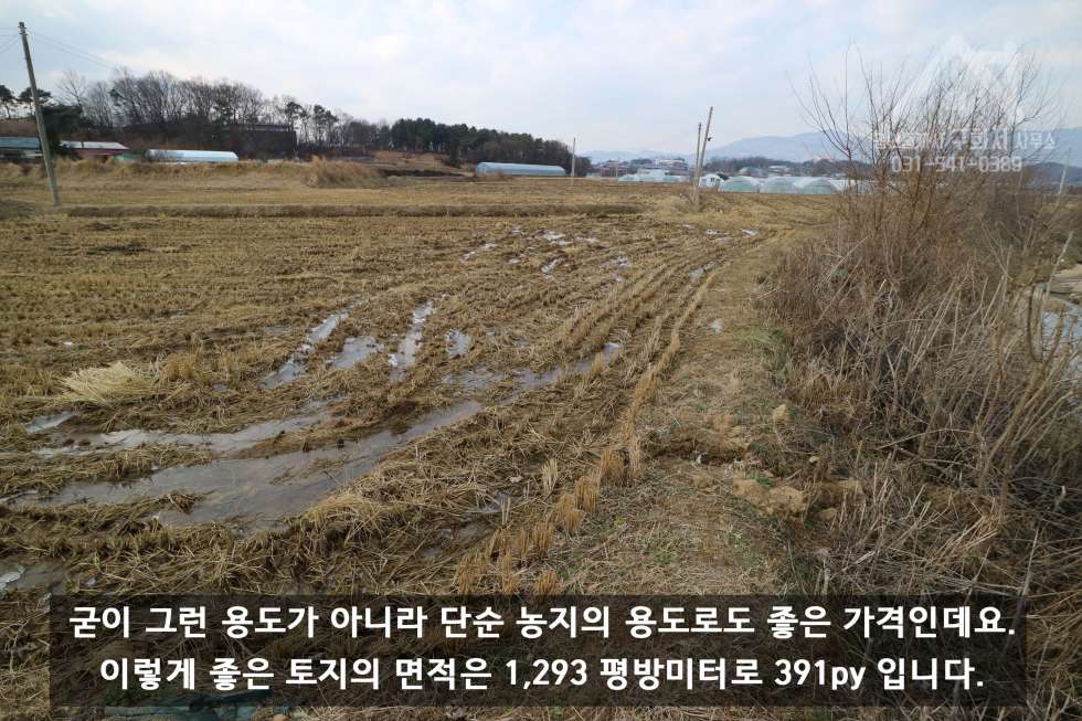 경기 포천시 가산면 금현리 [포천 토지 매매] 가격이 착해서 농사짓기 딱 좋은 금현리 농림지역 맹지 매매! (매매가 117,300,000원) 매매 매물번호 10227 사진 6