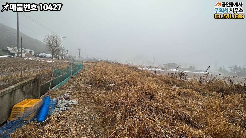 경기 포천시 군내면 직두리 [포천시 군내면 직두리 토지매매] 포천IC 4km 이내. 도로인접한 곳 매매 매물번호 10427 사진 5