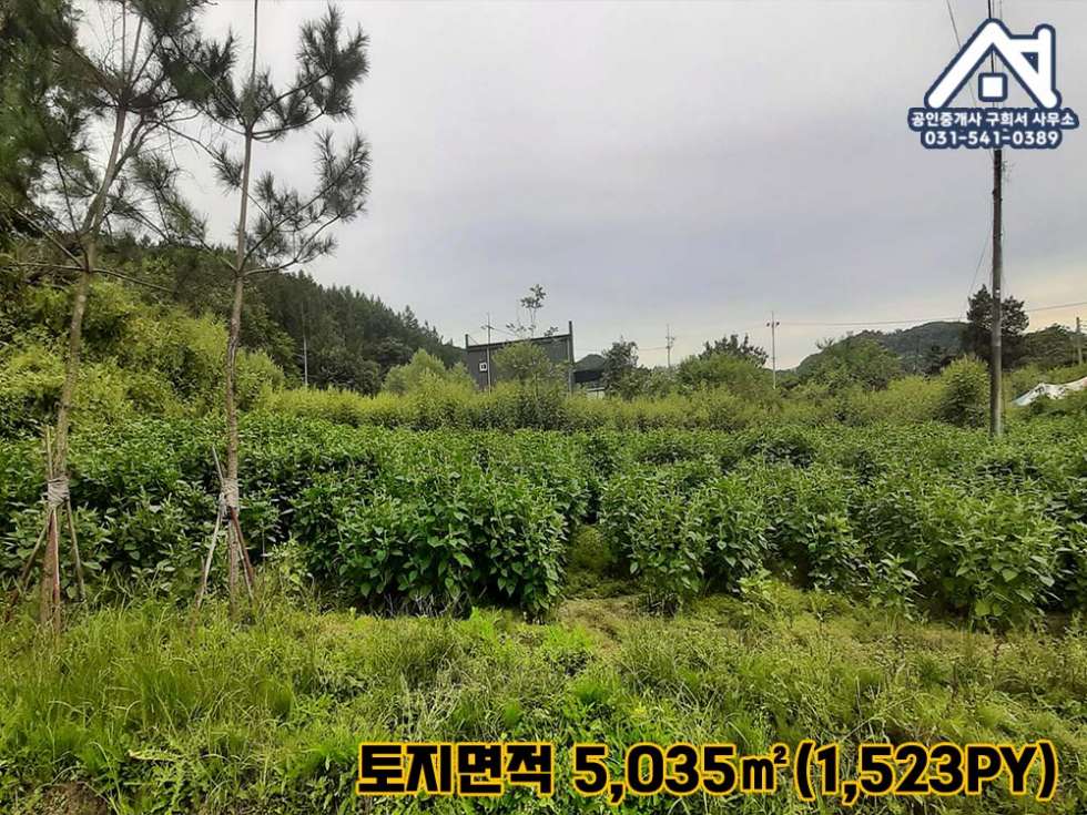 경기 포천시 군내면 상성북리 [토지 매매] 군내면 상성북리 / 전원주택용 부지 / 넓은 면적 / 산아래 조용한 토지 매매 매물번호 10333 사진 4