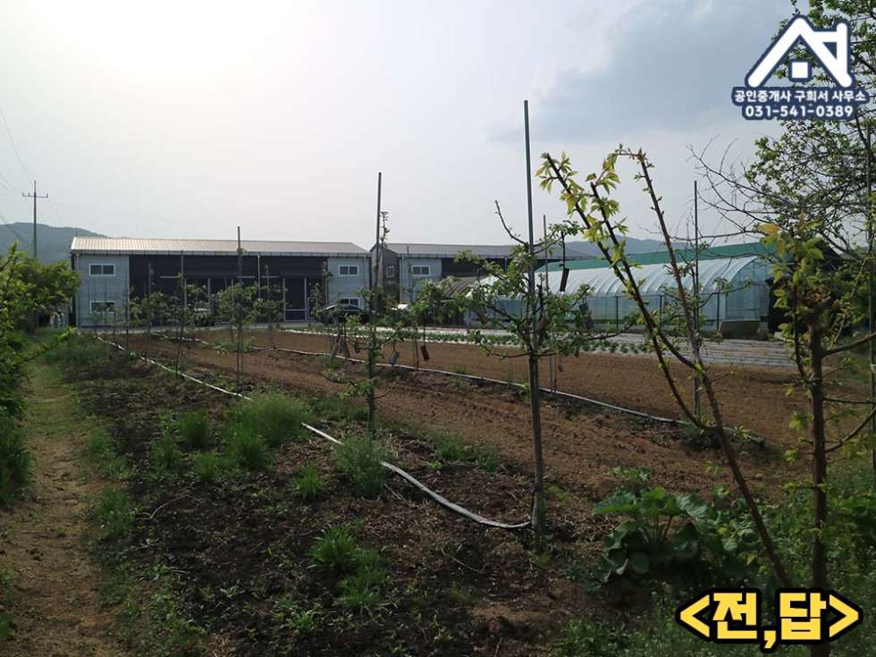 경기 포천시 소흘읍 송우리 [공장 매매] 포천시 소흘읍 송우리/창고두동 185PY+토지1,440PY/송우중학교인근.선단IC10분 매매 매물번호 10280 사진 12