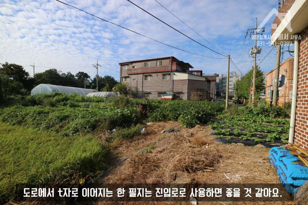 경기 포천시 가산면 마산리 초등학교, 중학교 가까운 마산리 빌라 부지 575py 매매! (매매가 11억 5천만 원) 매매 매물번호 10193 사진 5