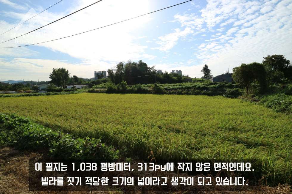 경기 포천시 가산면 마산리 초등학교, 중학교 가까운 마산리 빌라 부지 575py 매매! (매매가 11억 5천만 원) 매매 매물번호 10193 사진 7