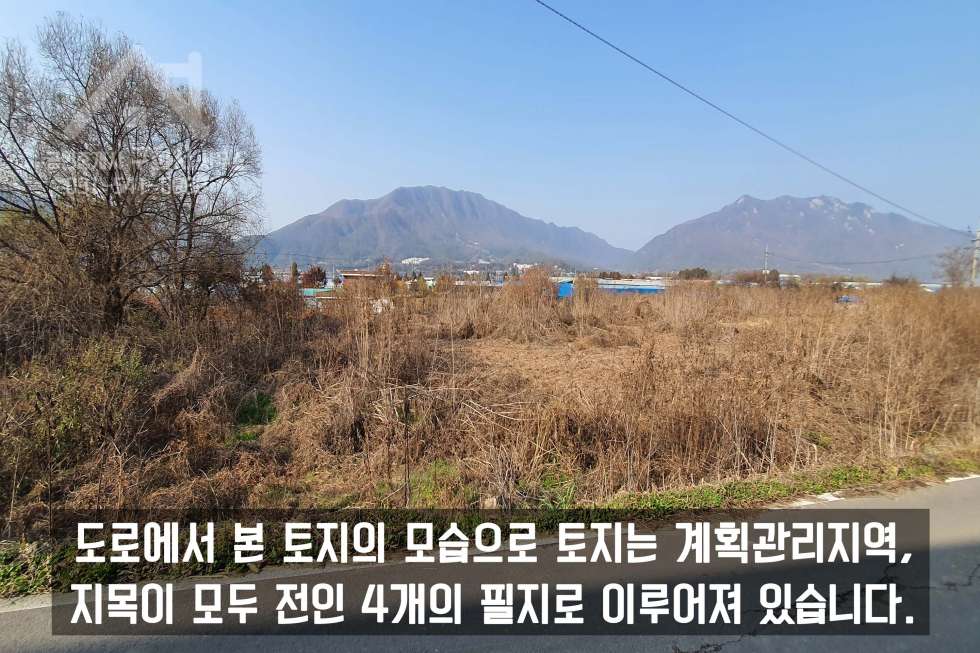 경기 포천시 일동면 사직리 py 당 30만 원도 안 하는 저렴한 일동면 사직리 토지 1,840py 매매! 매매 매물번호 10194 사진 4