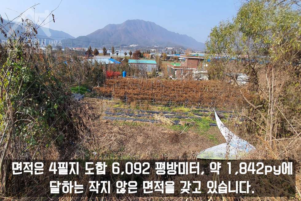 경기 포천시 일동면 사직리 py 당 30만 원도 안 하는 저렴한 일동면 사직리 토지 1,840py 매매! 매매 매물번호 10194 사진 5